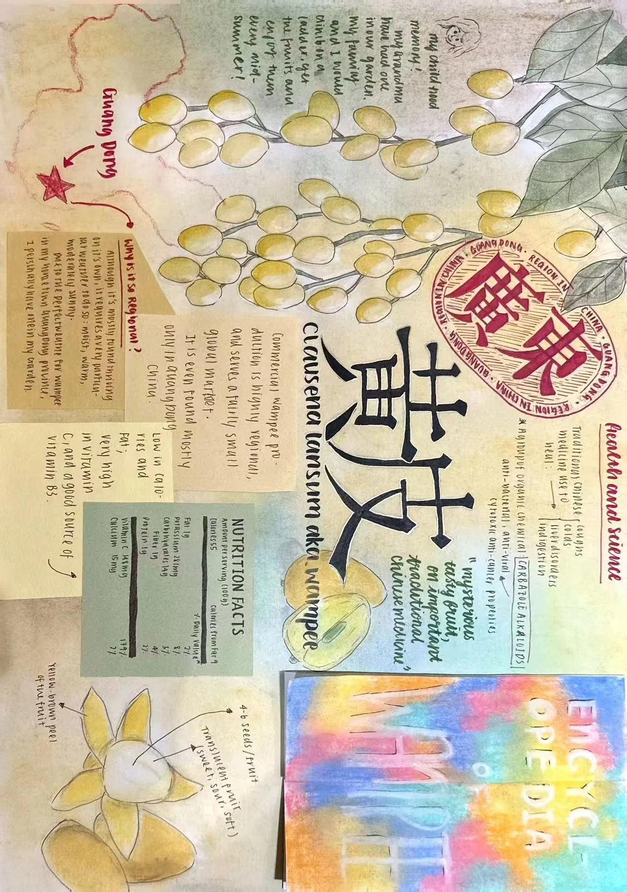 Huangpi · food, culture and visual communication